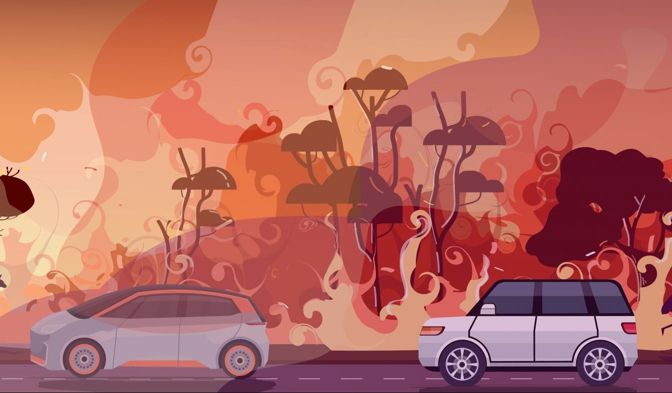 vrouwaanhetstuur - kans op bermbranden