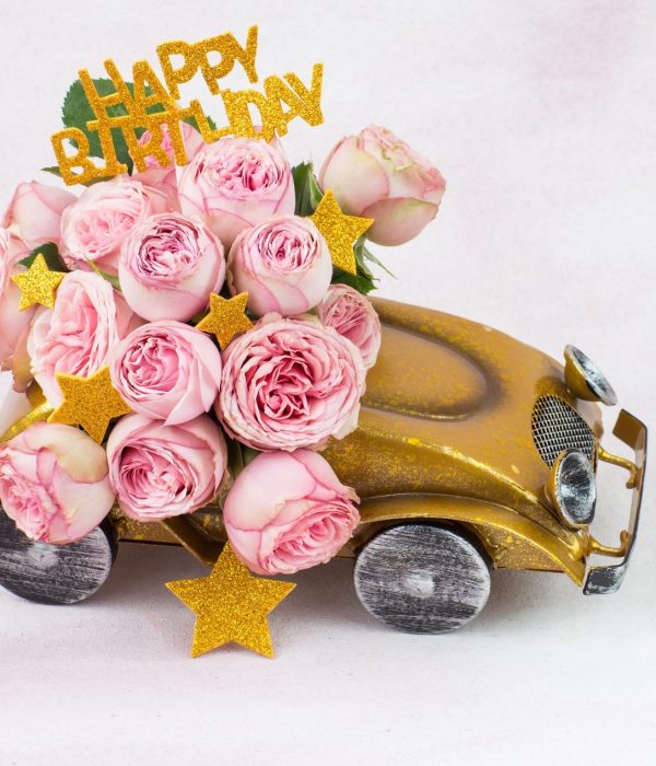 vrouwaanhetstuur - 1 jaar Vrouw aan het Stuur